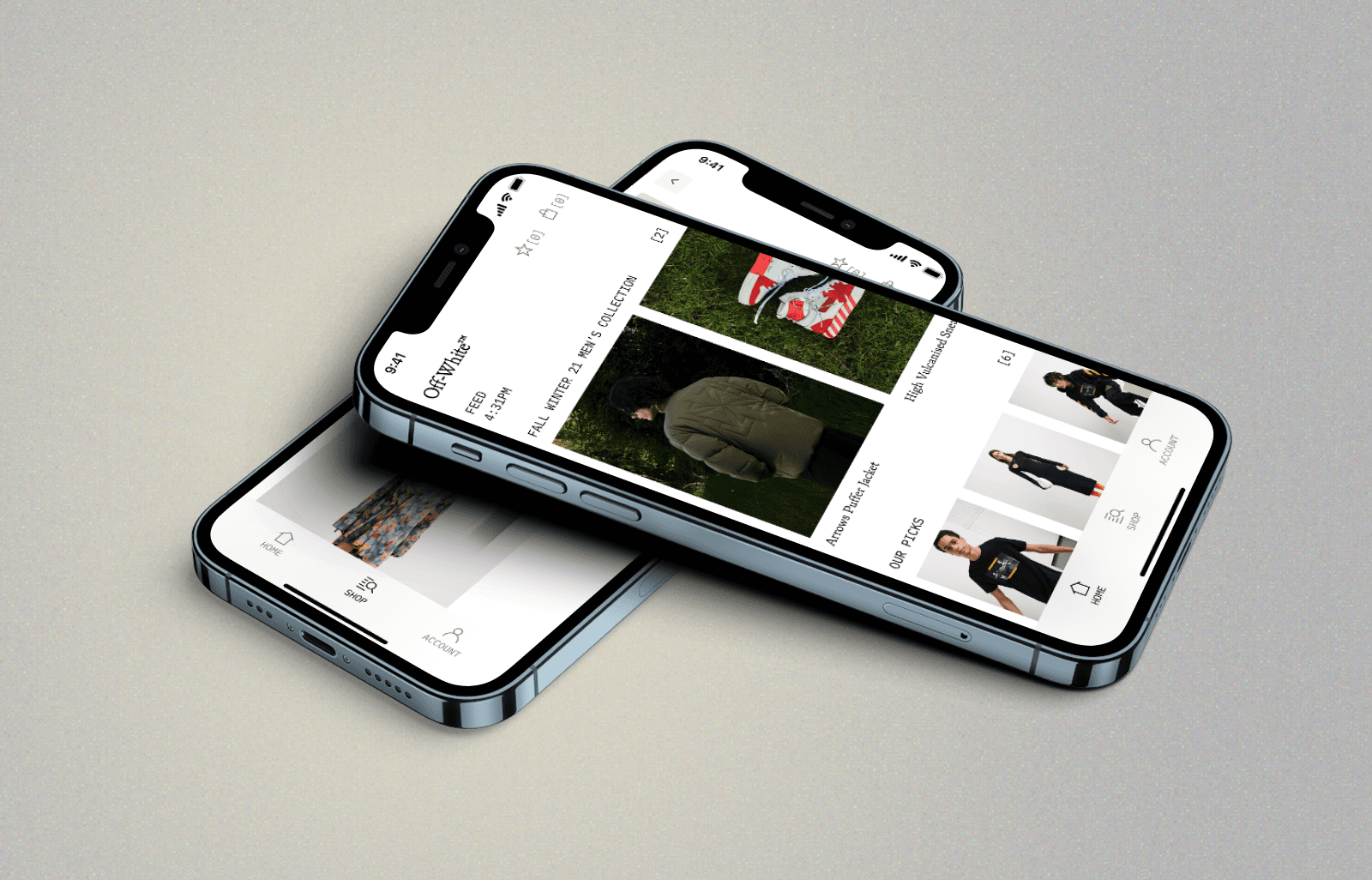 Preview of the mobile app interface