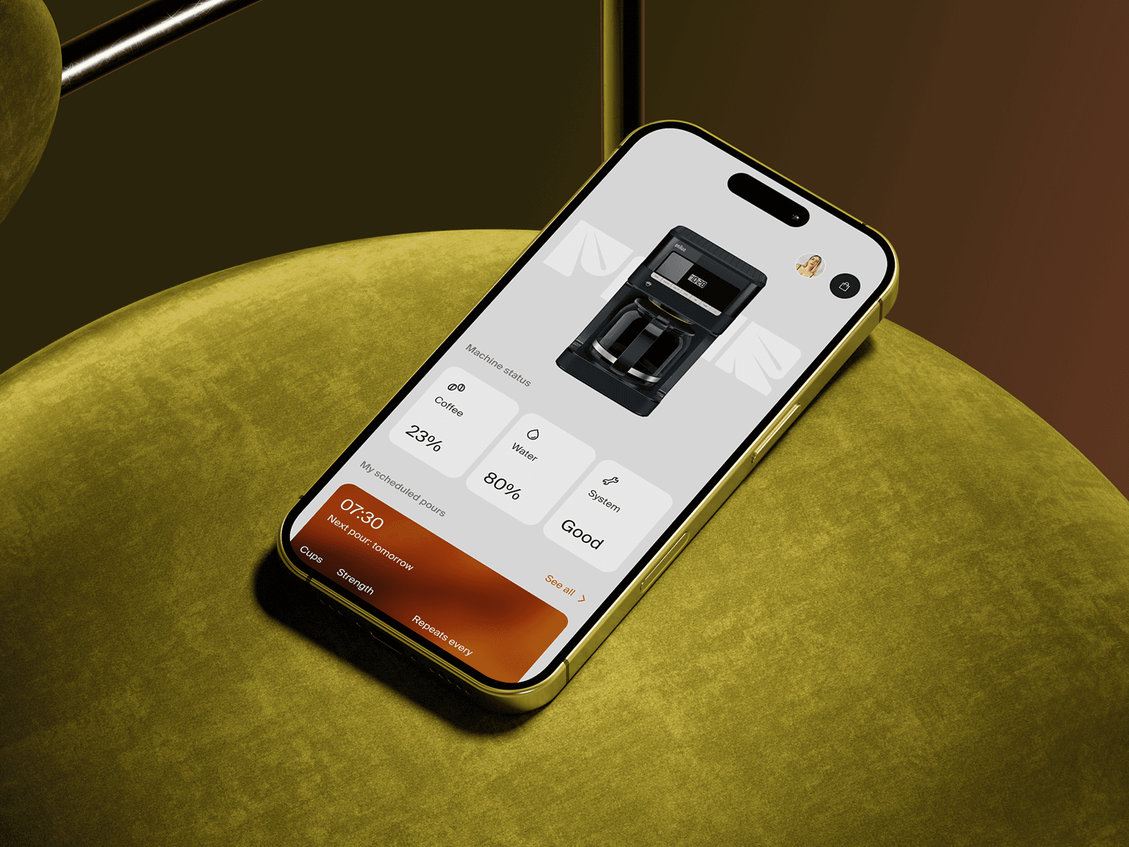 Showcase image 1